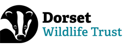 Dorset wildlife trust